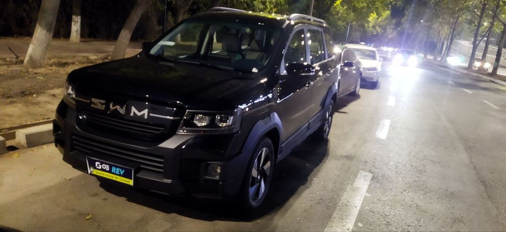 SWM G03 (China Gibrid)