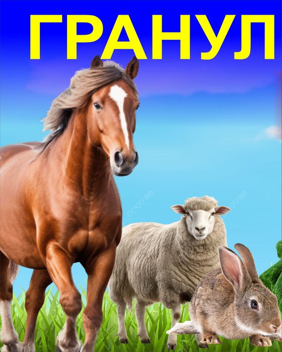 Гранулы из люцерны. Жонышка грануласы.