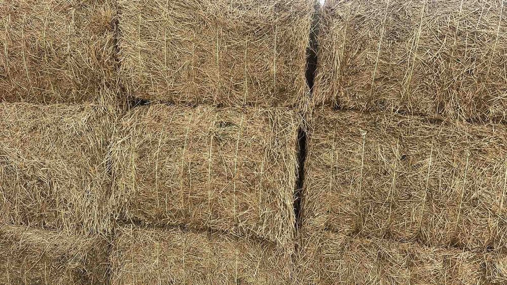 Люцерна големи бали