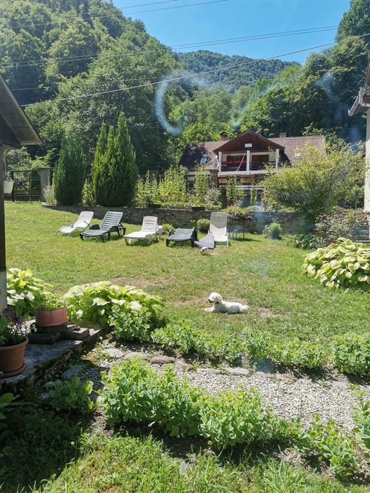 Cabană de închiriat Gura Zlata jud.HD