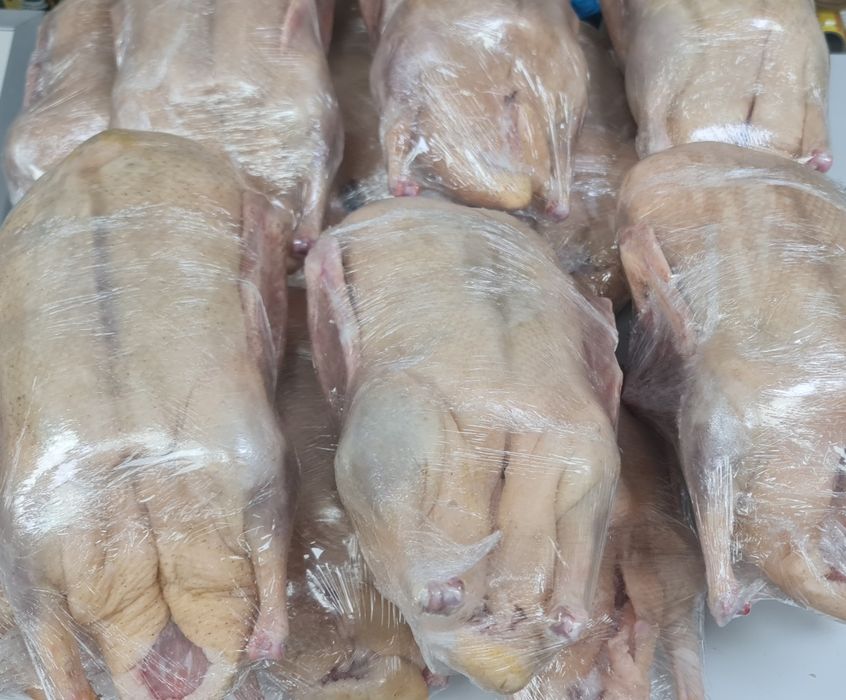 Продам уток домашних мясом.