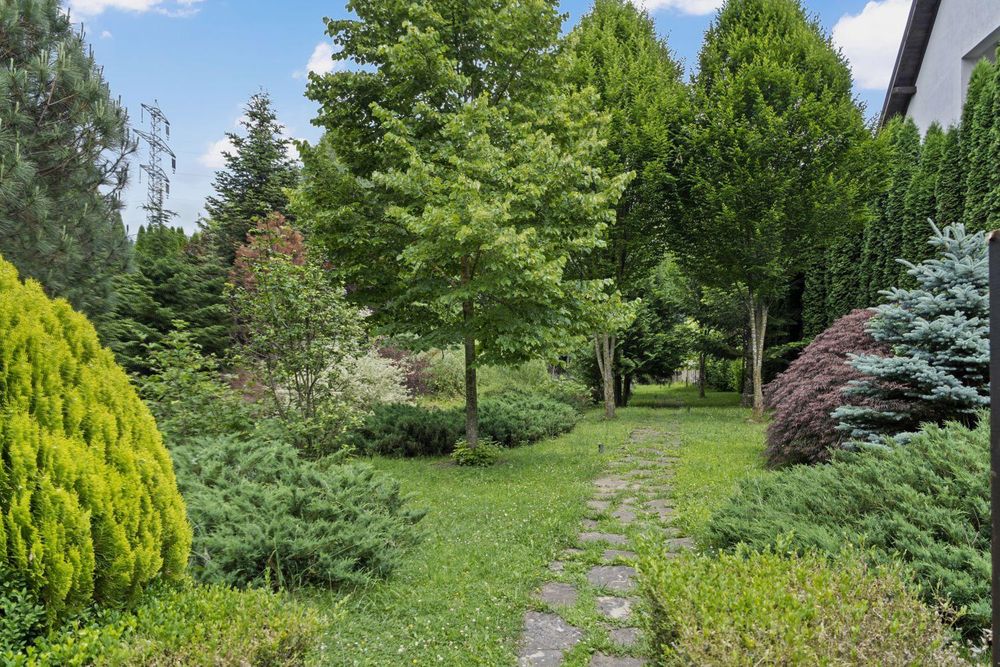 Direct Proprietar Terenuri Construibile Penteu Case De Vacanță de Vanzare Sinaia-Busteni 2200 mp Vedere Panoramică neperturbată