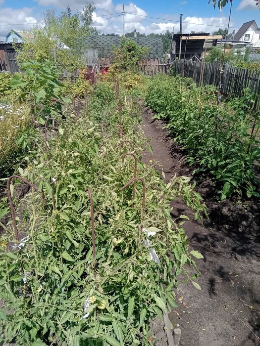 Продам дачу район Новопавловки