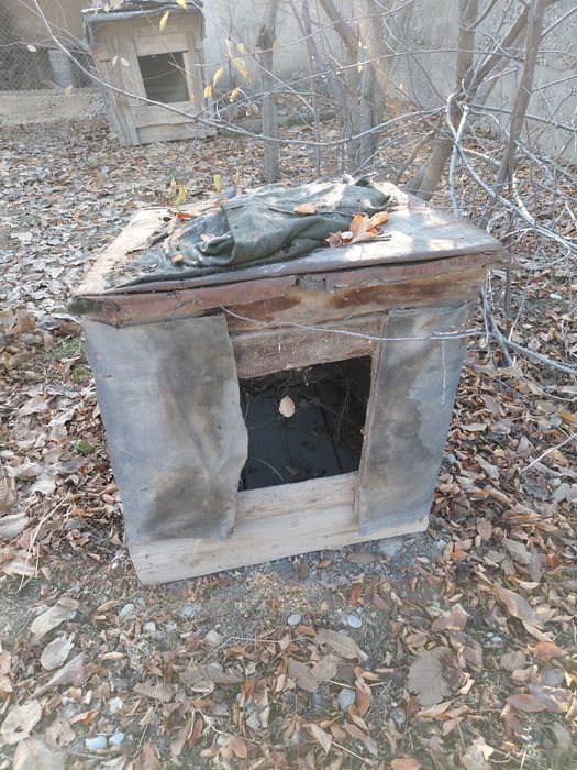 Сабачи домик бальшои