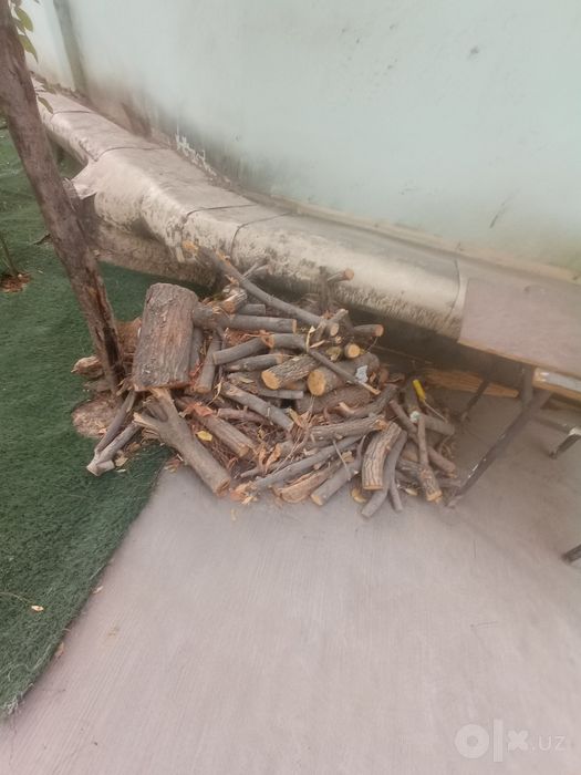 Utin tekinga obketsayla buldi