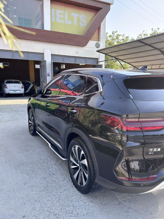 Byd Chempion 605 Honor
