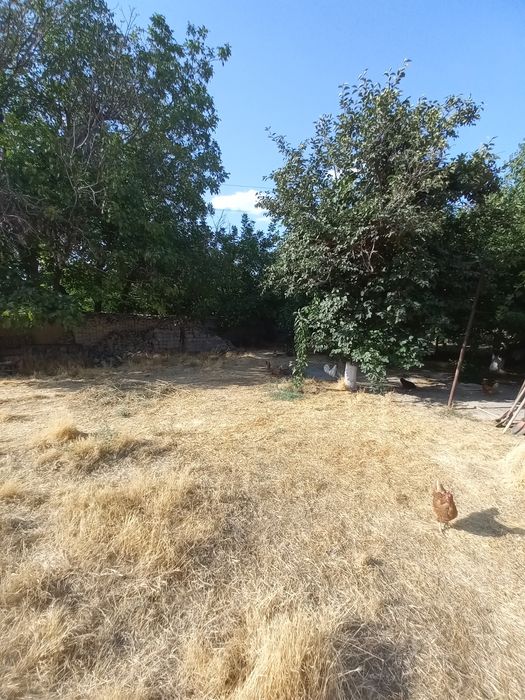 Селхоздан 3км селекция 26-соток Фасад:35-метр ичкарига 70-метрдан куп