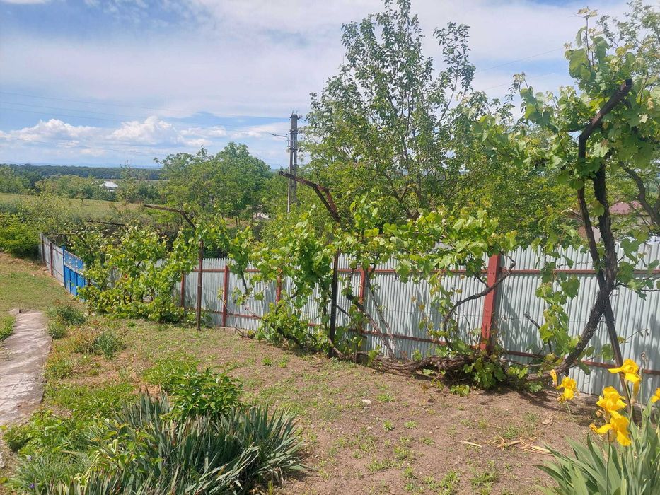 Casă in sat Negrileşti, județul Galați, 1900mp la 15 km de Tecuci.