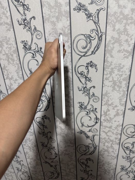 Ipad pro 12.9 ideal