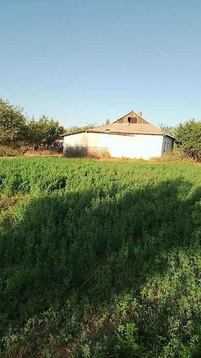 Срочно!Участка сотилади,2кадастрли Сирдареда.Продается земля с 2мя к