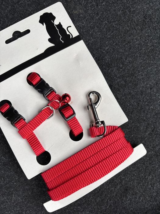 Zgarda si lesa catelusi di pisici