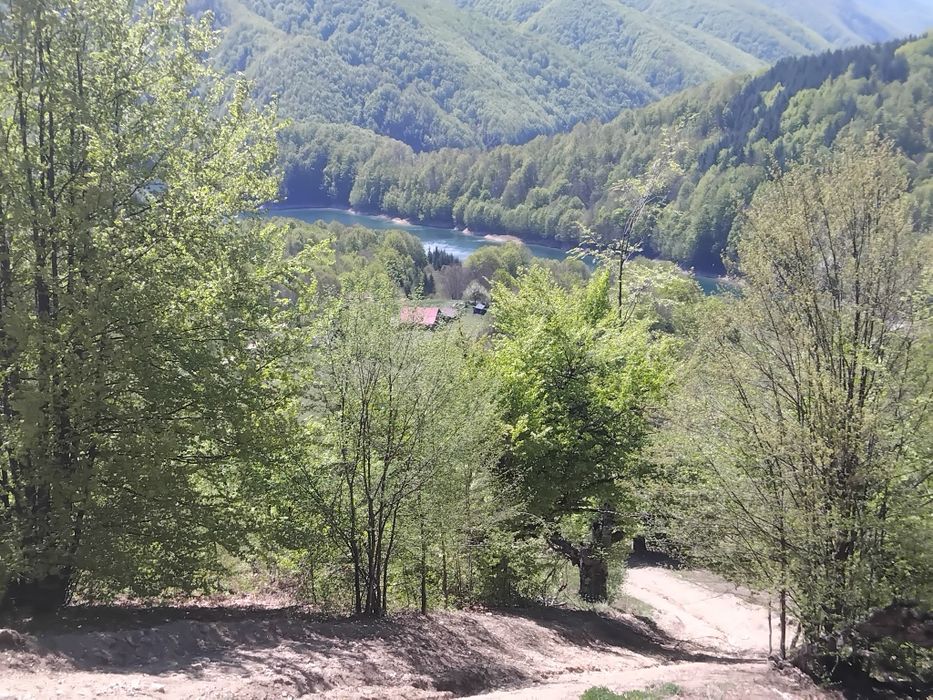 Teren Cerna izvoare