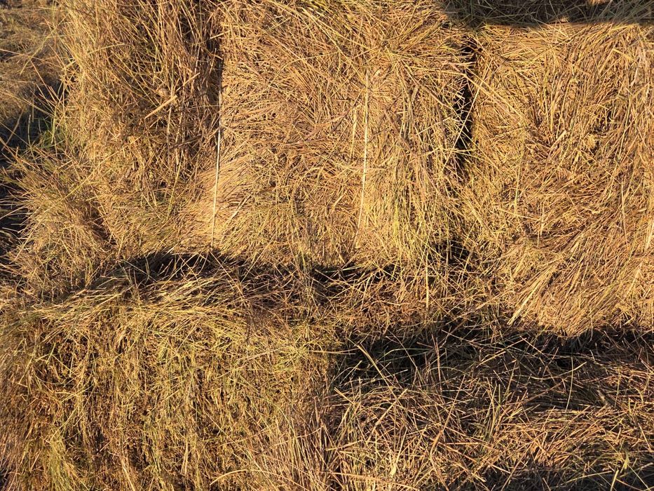 Продам сено в тюках