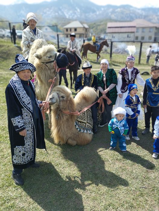 Прокат верблюдами и лошадей
