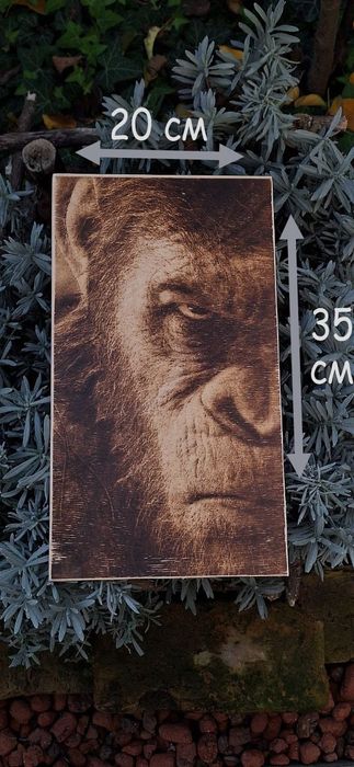 Картины выжженые на дереве