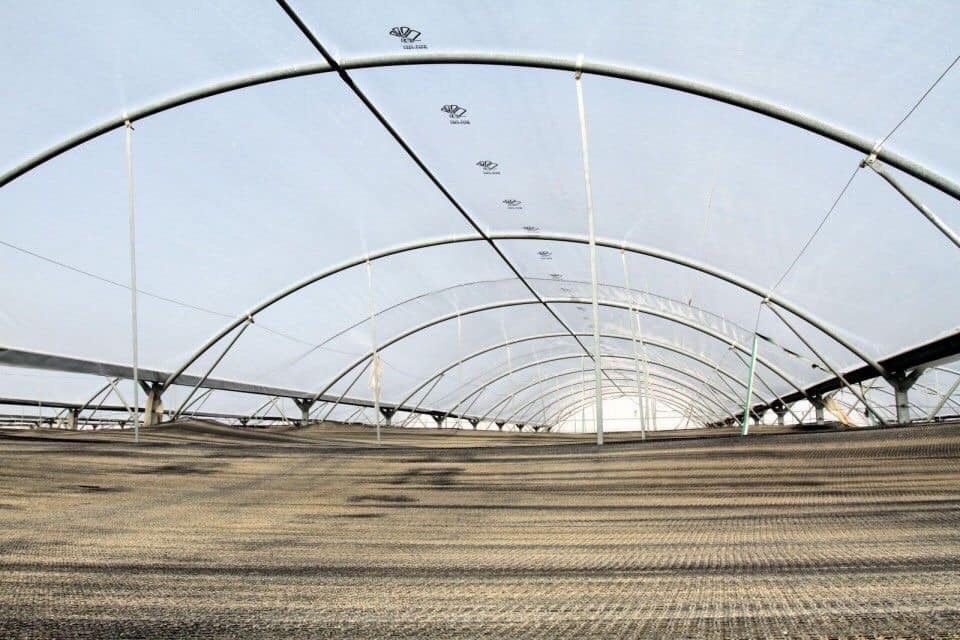 FOLIE SOLAR,TripluStratificata180microni,4aniGarantie,UVA+IR+EVA+AF/AD