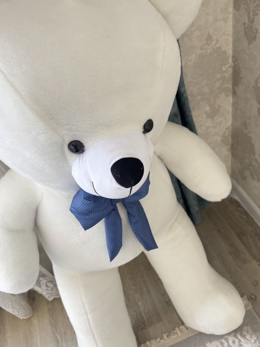 Аю сатылады новый