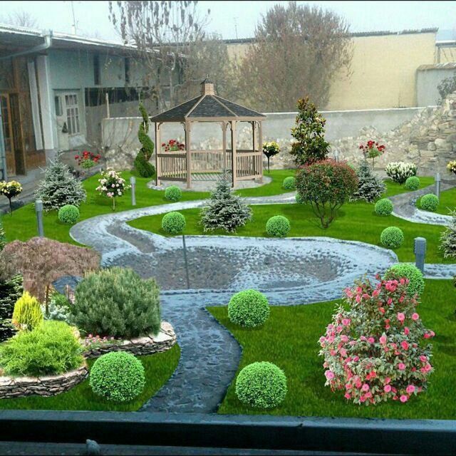 Газон, ландшафтный дизайн, декаративный Дарахтлар,Газон ва Арча уход