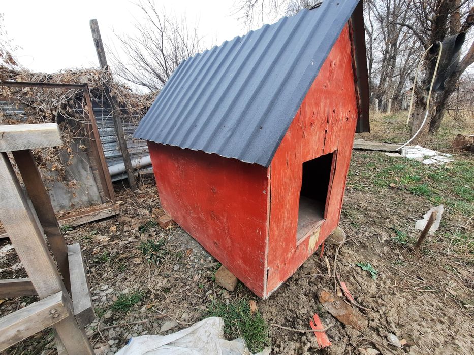 Продам бутку для собаки