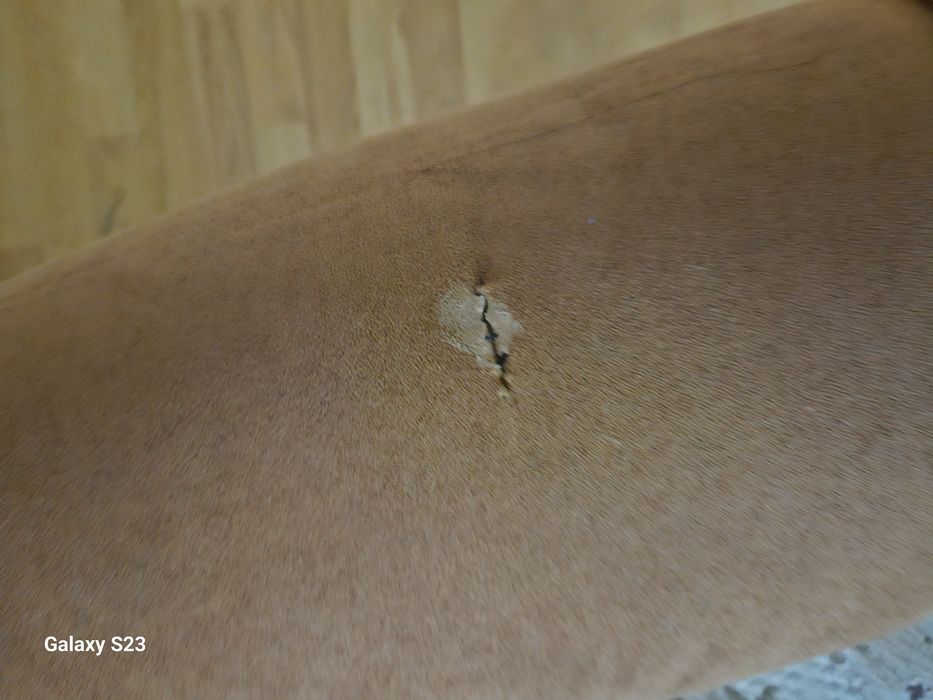 Диван французский, для ресторана