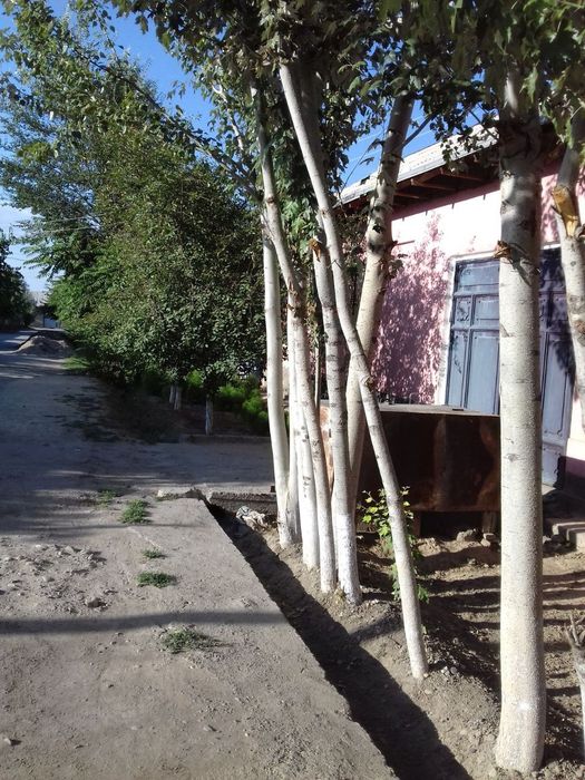 Ховли сотилади
6 сотих
2хўжалик яшаса бўладиган шароит бор
Икки каватл