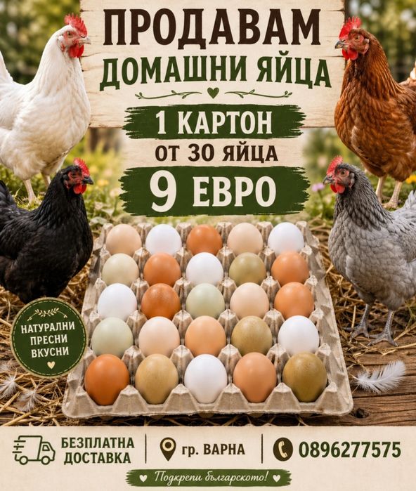 Домашни кокоши яйца