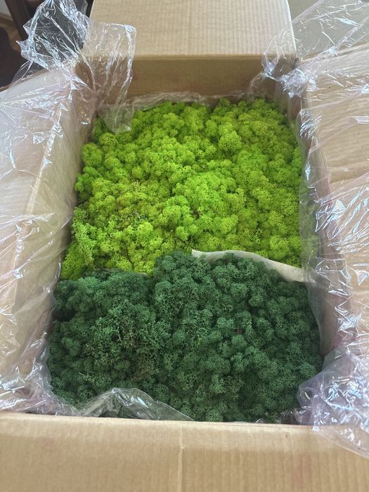 Скандинавски мъх 3 кг.