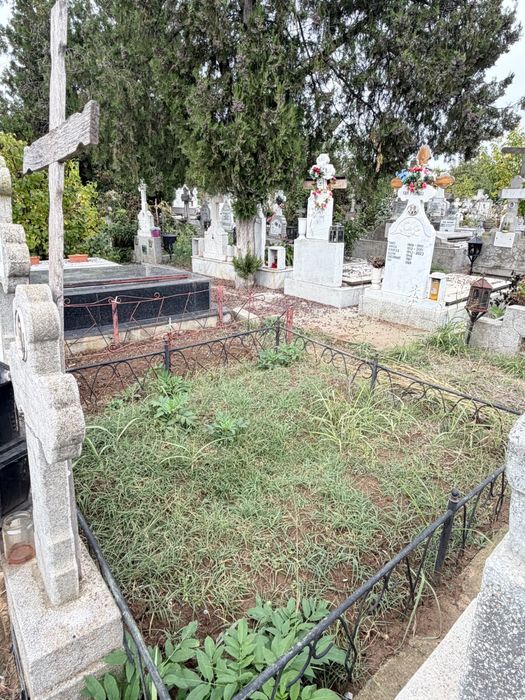 Două locuri de veci de vanzare Fundeni-Dobroești