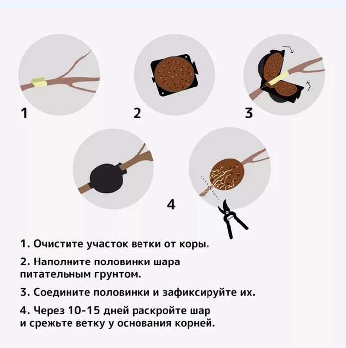 Шары для укоренения растений