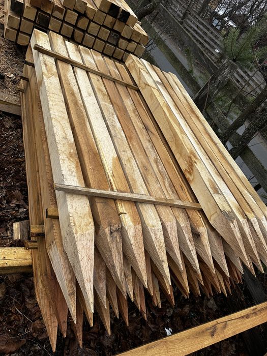 Piloni gard estență gorun sau molid