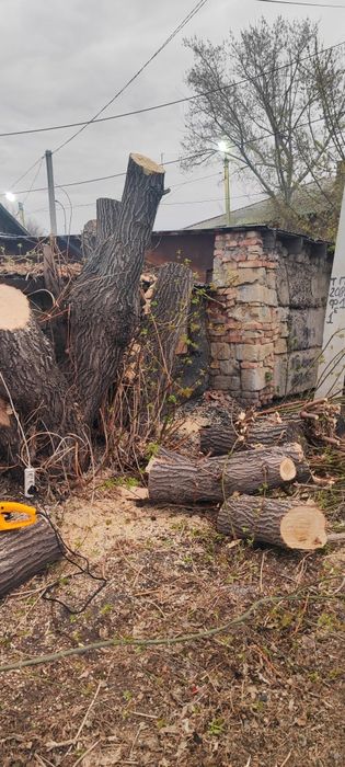 Дрова бесплатно самовывоз