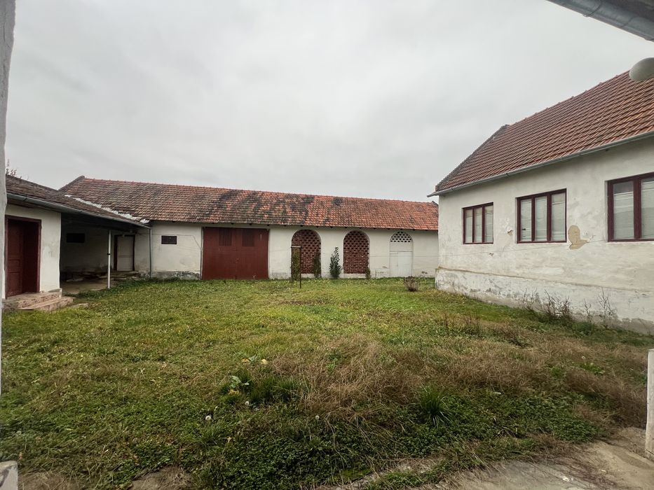 Casa individuala 5 camere/ 1.439mp , curte, mobilata, Sintesti Timis