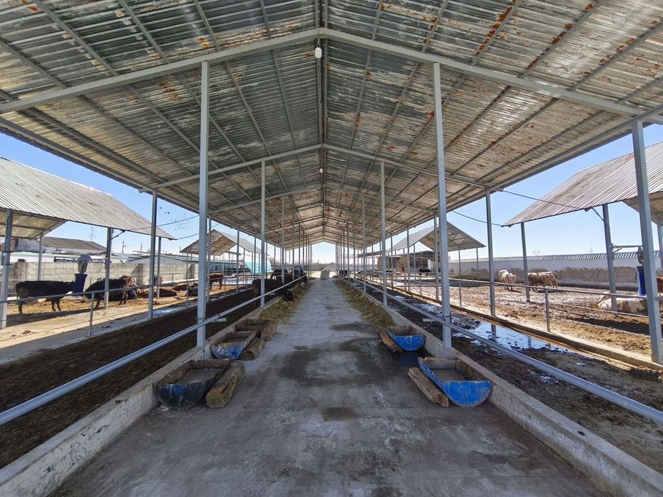 Мол  бокиш ун таёр ферма