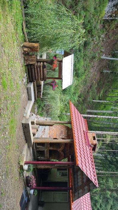 Cabană de închiriat Valea Brătcuței