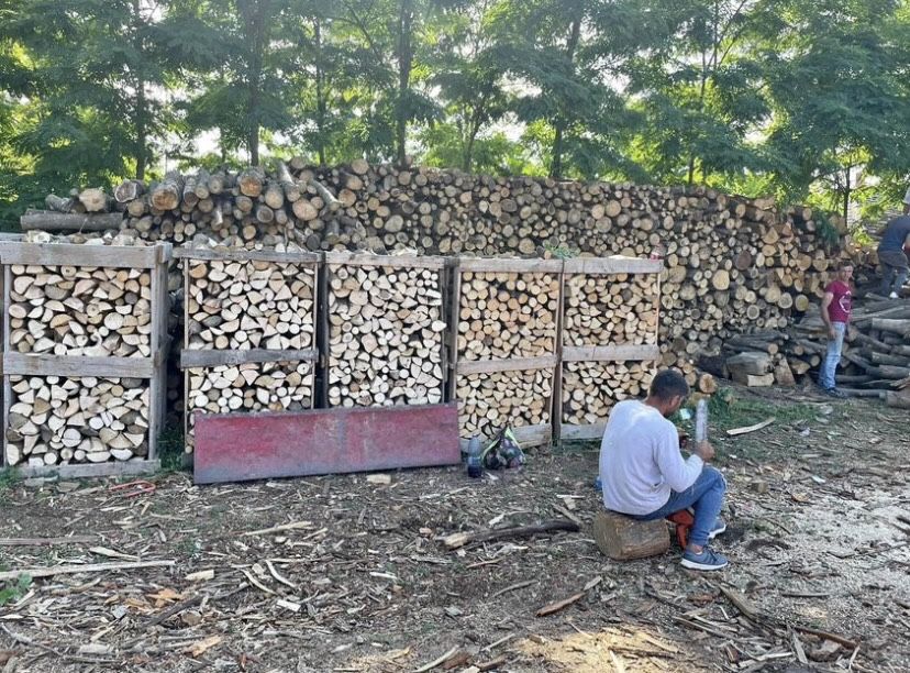 Lemne paletizate esenta tare.