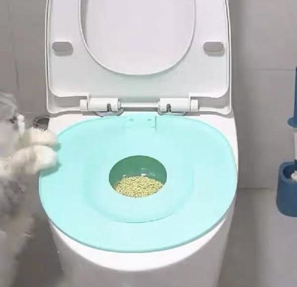 очень удобный лоток для кошек