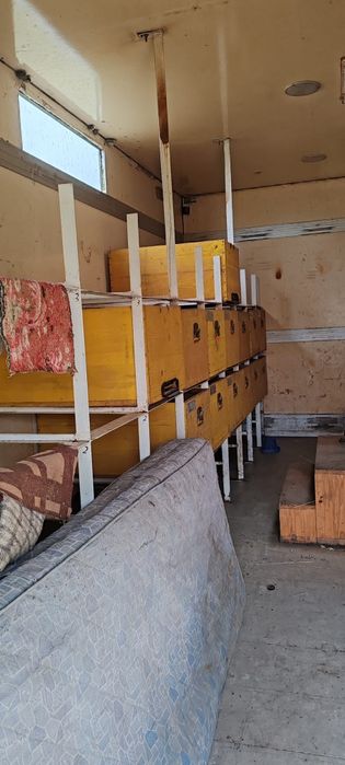 Vand pavilion apicol