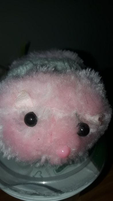 Мышка заводная крутится-вертется