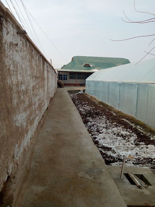 Uy Sotiladi Termez tuman