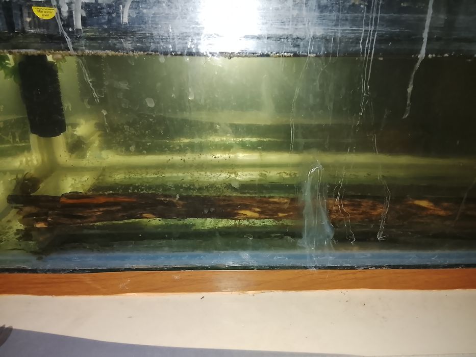 Аквариум сатылады