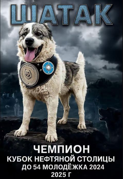 Продам самого крупного щенка в помете