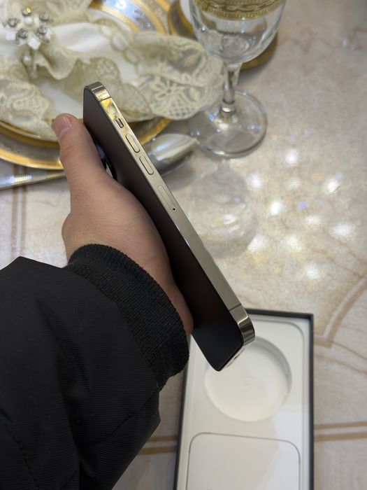 Iphone 13 pro max srochna