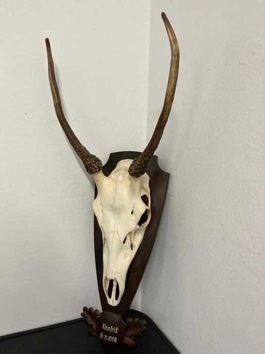 Трофей от шилар, лов и риболов