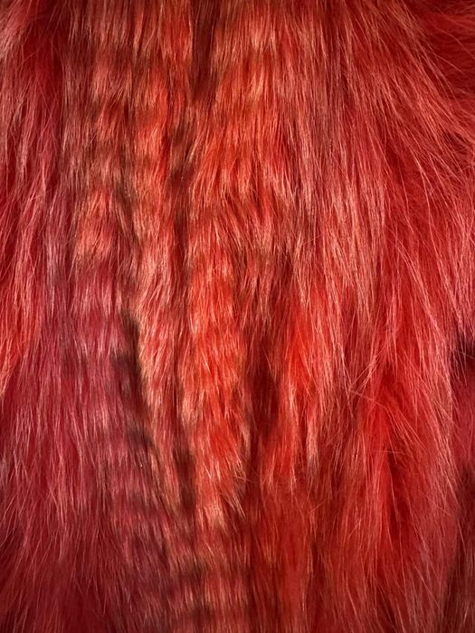 Лисица М размер Ново