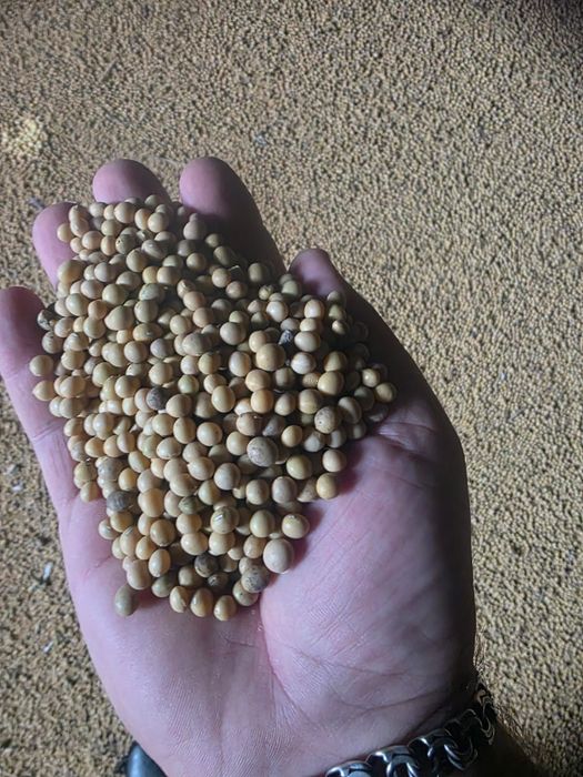 Лён.Платный чат!Все корма.