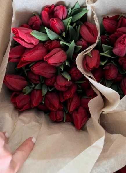 СКЛАД тюльпаны оптом