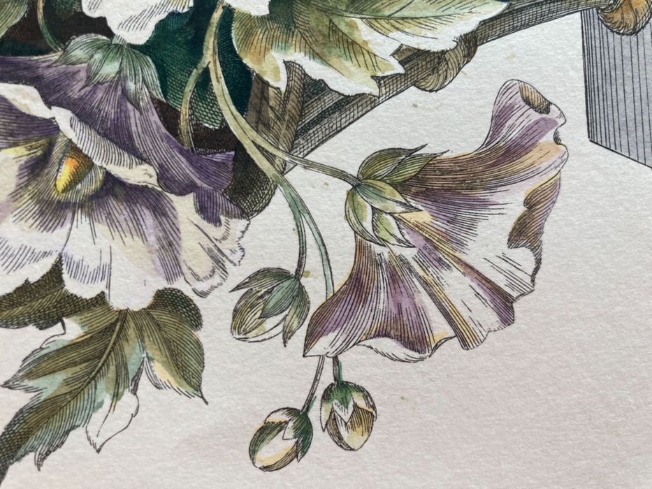 Френска литография 18 век