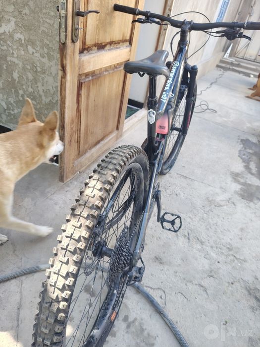 Срочно Giant trance x 29 3