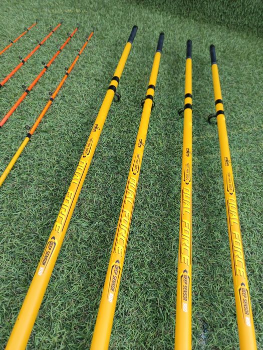 SET 3 Lansete Feeder 3.0m Pro Fl Dual Force  200 gr .

Se găsesc și în