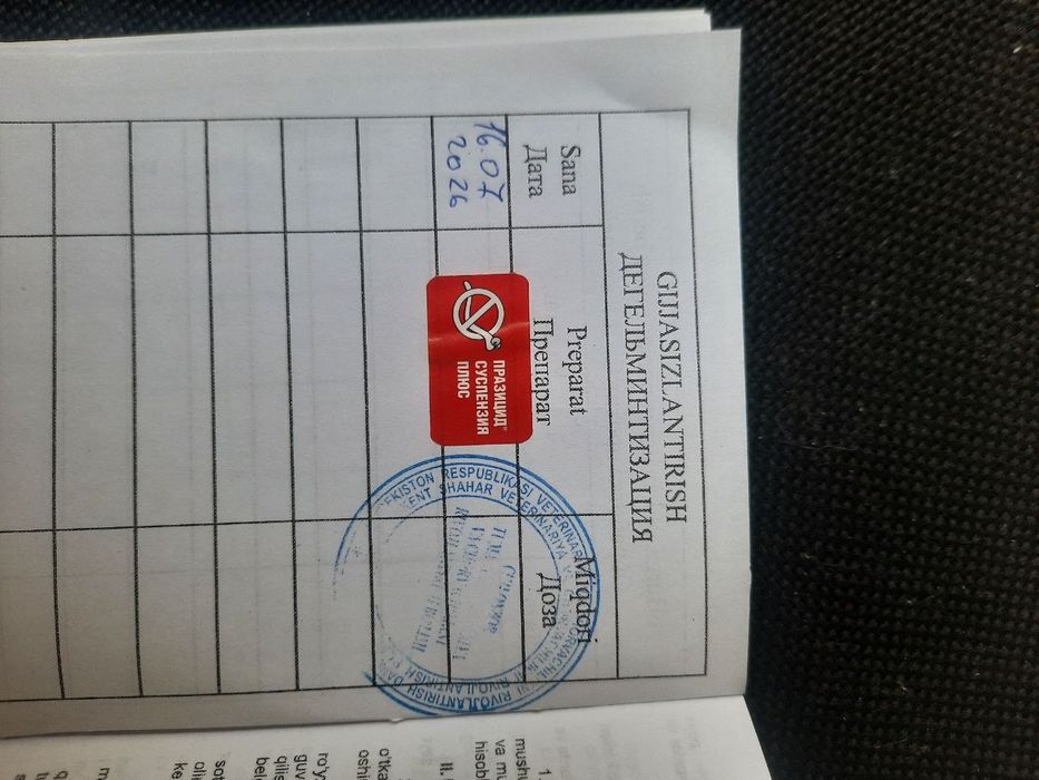 Немис овчарка шеноклари